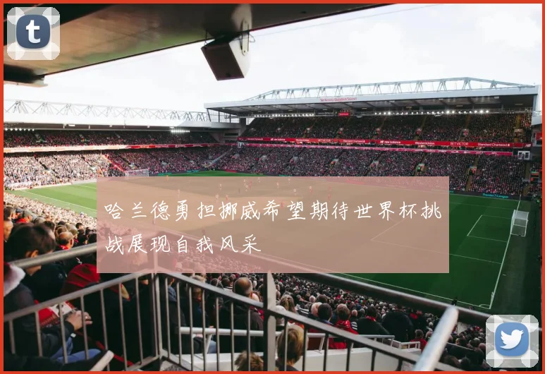 哈兰德勇担挪威希望期待世界杯挑战展现自我风采