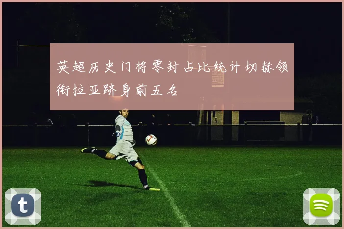英超历史门将零封占比统计切赫领衔拉亚跻身前五名