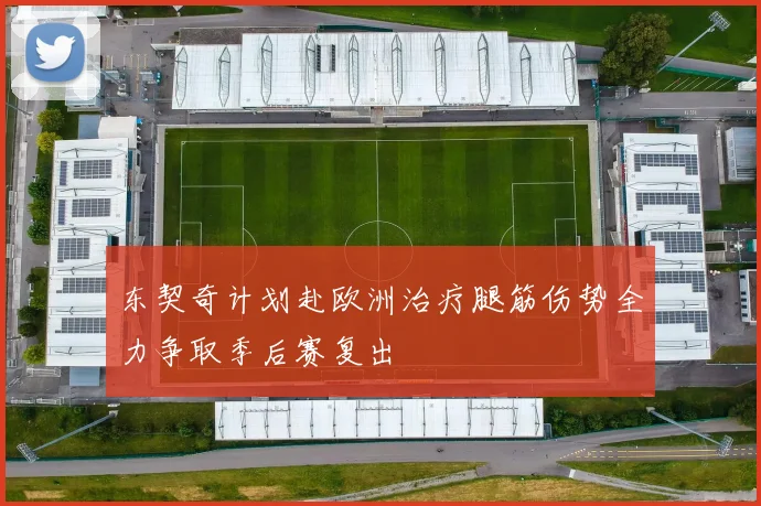 东契奇计划赴欧洲治疗腿筋伤势全力争取季后赛复出